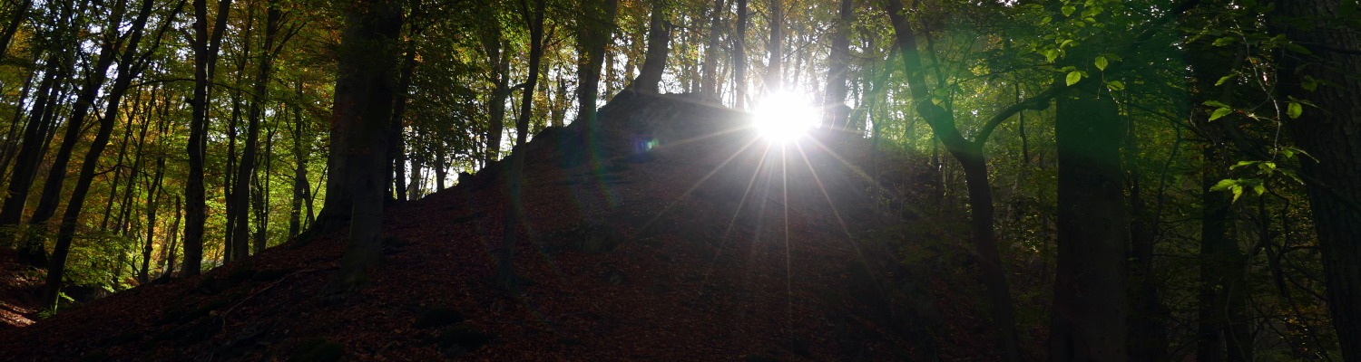 Julius Erasmus. Scene in the Kall valley.