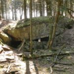 Julius Erasmus. The Battle of Hürtgen Forest 1944/45.