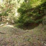 Julius Erasmus. The Battle of Hürtgen Forest 1944/45.