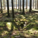 Julius Erasmus. The Battle of Hürtgen Forest 1944/45.