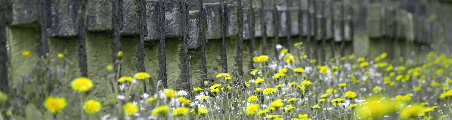 Feldpostbrief from Hans-Joachim Breitenbach. Ehrenfriedhof Heidelberg, April 2022.
